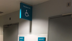 Disabled toilet WC call